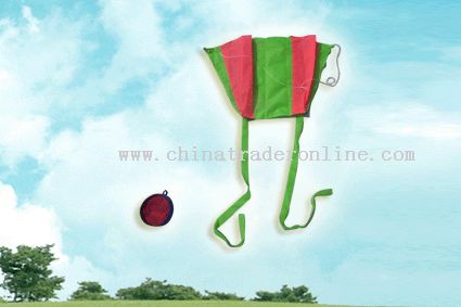 Mini Pocket Kite